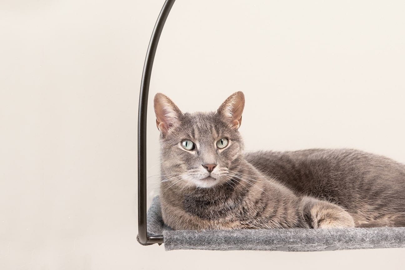 tuft + paw Cloud Nine Window Hammock