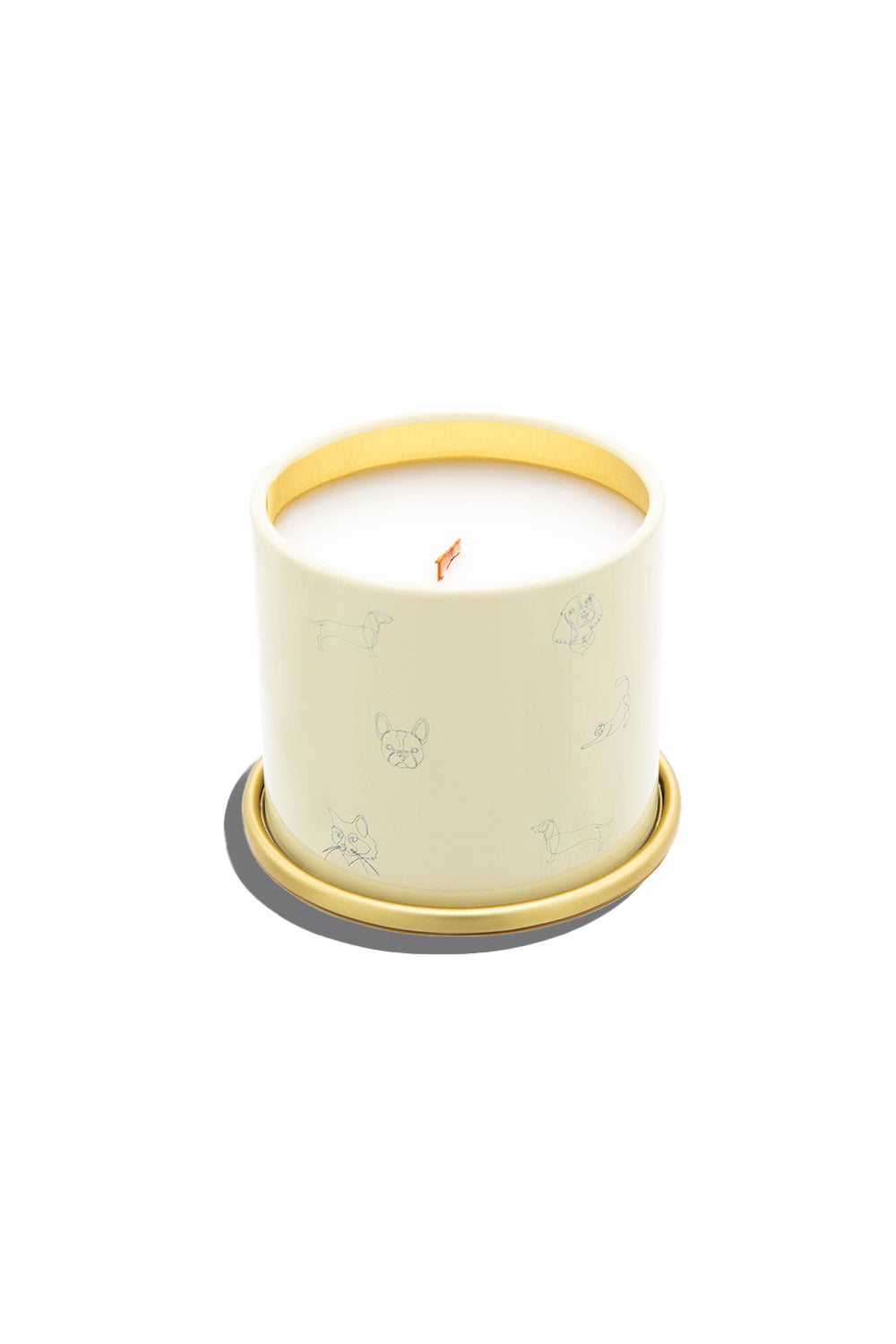 Companion Candles You Got This!