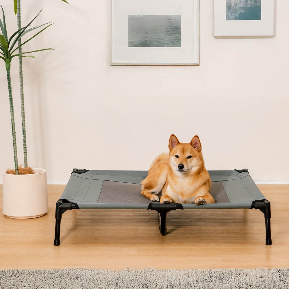 Multi-Functional Breathable Outdoor Cooling Elevated Dog Bed with Canopy Raised Dog Bed Dog Cot for Camp - PawAir