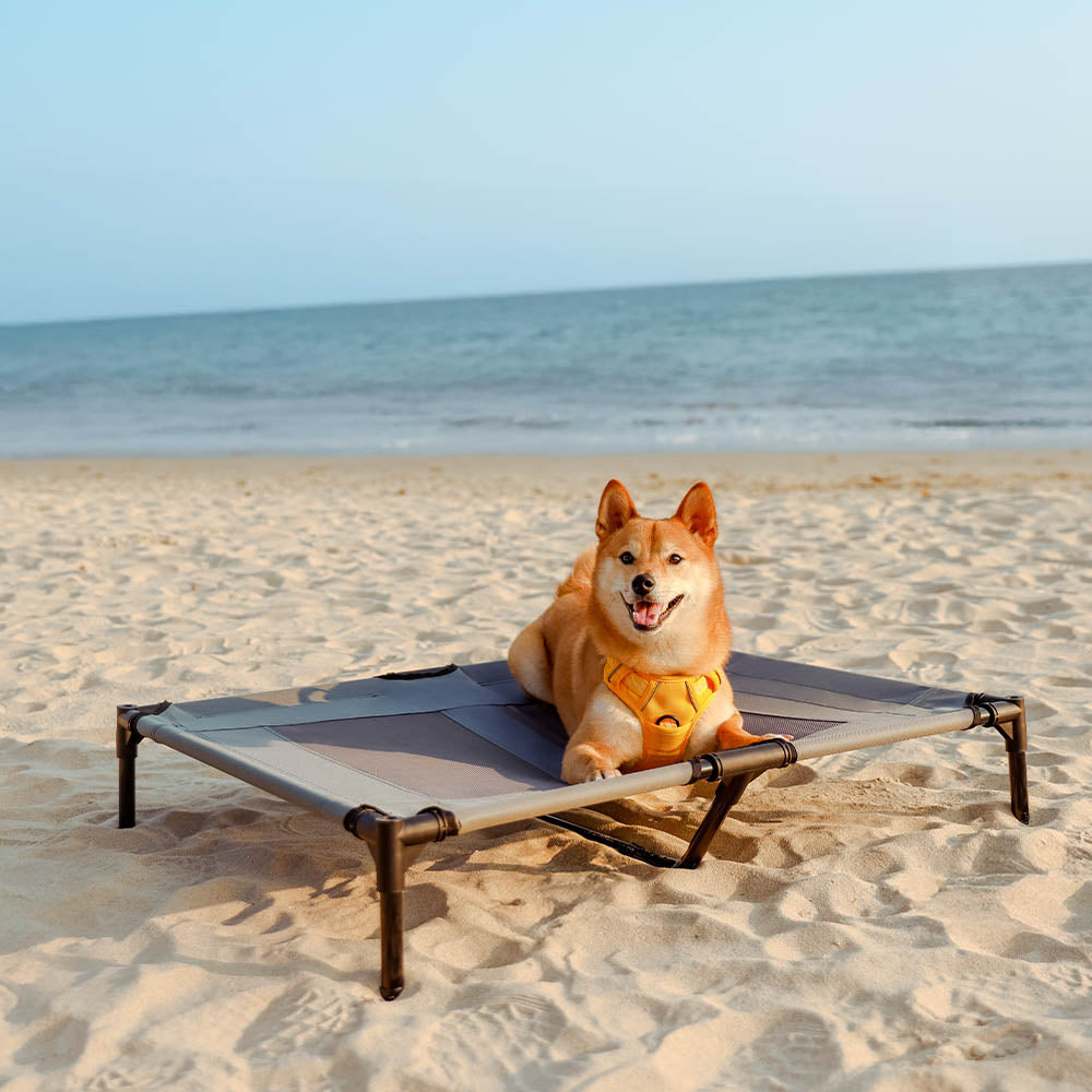 Multi-Functional Breathable Outdoor Cooling Elevated Dog Bed with Canopy Raised Dog Bed Dog Cot for Camp - PawAir