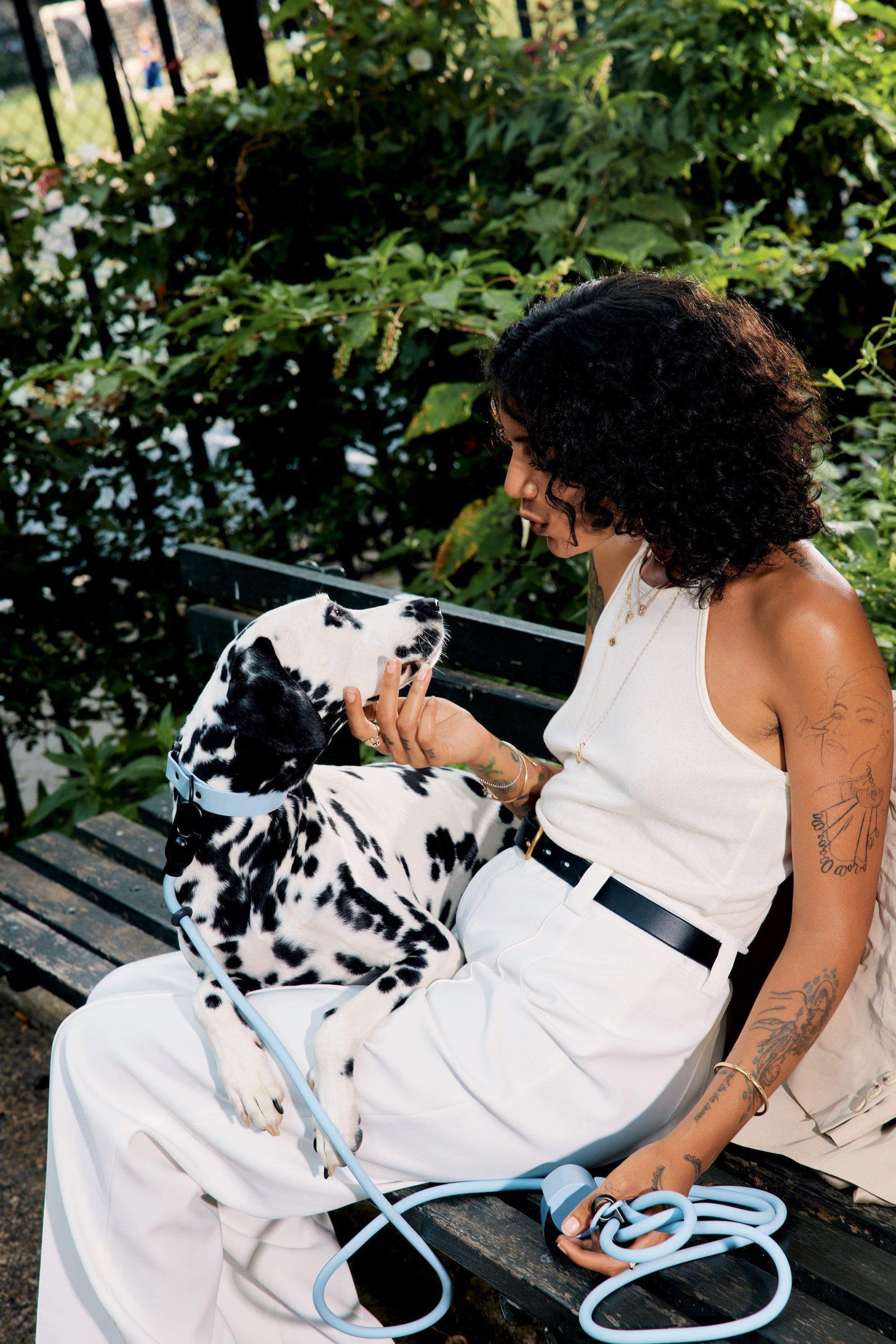 Light Blue | M/L | 35-lb dog | Sizer