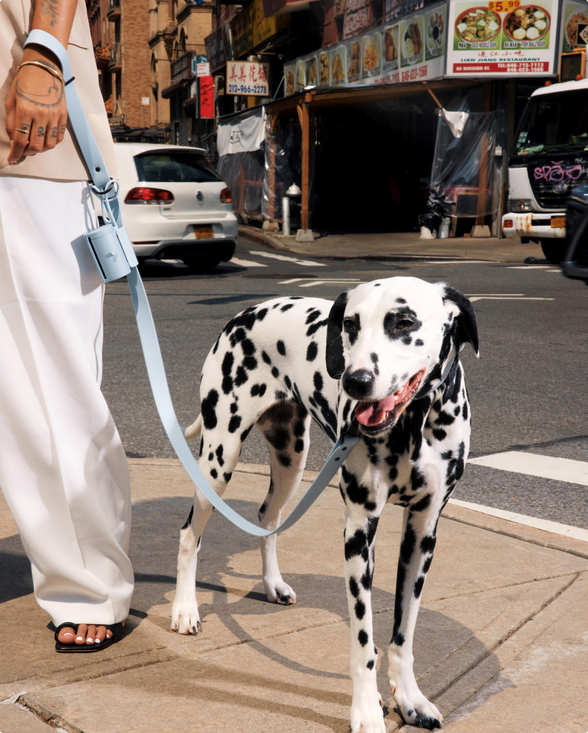 Light Blue | O/S | 25-lb dog | Sizer